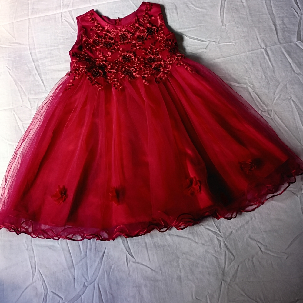 Red Floral Applique Tulle Party Dress for Girls